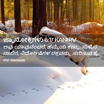Picture 02 - ಜ್ಞಾನೋಕ್ತಿಗಳು 6:17 KANIRV - ಅವು ಯಾವುವೆಂದರೆ, - Bible Verse Picture