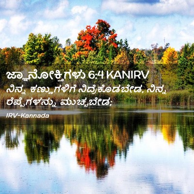 Picture 02 - ಜ್ಞಾನೋಕ್ತಿಗಳು 6:4 KANIRV - ನಿನ್ನ ಕಣ್ಣುಗಳಿಗೆ - Bible Verse Picture