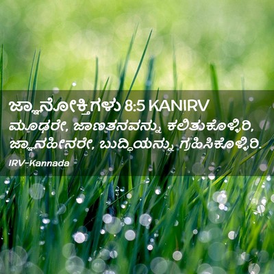 Picture 02 - ಜ್ಞಾನೋಕ್ತಿಗಳು 8:5 KANIRV - ಮೂಢರೇ, ಜಾಣತನವನ್ನು - Bible Verse Picture