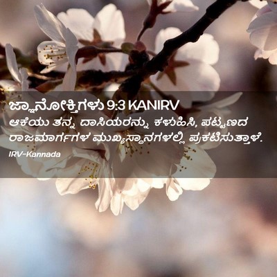 Picture 02 - ಜ್ಞಾನೋಕ್ತಿಗಳು 9:3 KANIRV - ಆಕೆಯು ತನ್ನ - Bible Verse Picture