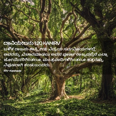 Picture 02 - ದಾನಿಯೇಲನು 1:20 KANIRV - ಬಳಿಕ ರಾಜನು - Bible Verse Picture