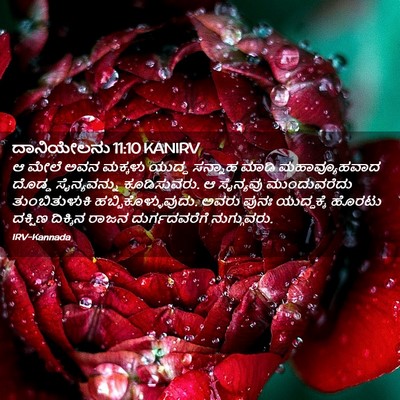 Picture 02 - ದಾನಿಯೇಲನು 11:10 KANIRV - ಆ ಮೇಲೆ ಅವನ ಮಕ್ಕಳು - Bible Verse Picture