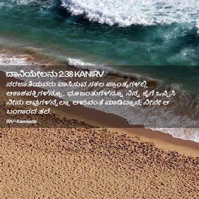 Picture 02 - ದಾನಿಯೇಲನು 2:38 KANIRV - ನರಜಾತಿಯವರು - Bible Verse Picture