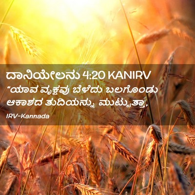 Picture 02 - ದಾನಿಯೇಲನು 4:20 KANIRV - “ಯಾವ ವೃಕ್ಷವು - Bible Verse Picture