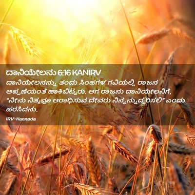 Picture 02 - ದಾನಿಯೇಲನು 6:16 KANIRV - ದಾನಿಯೇಲನನ್ನು ತಂದು - Bible Verse Picture