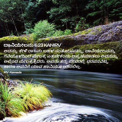 Picture 02 - ದಾನಿಯೇಲನು 6:23 KANIRV - ಅದನ್ನು ಕೇಳಿ ರಾಜನು - Bible Verse Picture