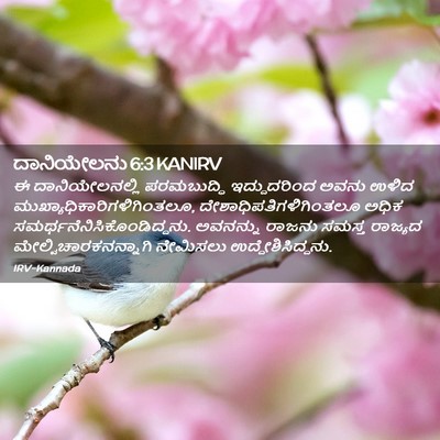 Picture 02 - ದಾನಿಯೇಲನು 6:3 KANIRV - ಈ ದಾನಿಯೇಲನಲ್ಲಿ - Bible Verse Picture