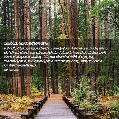 Picture 02 - ದಾನಿಯೇಲನು 9:7 KANIRV - ಕರ್ತನೇ, ನೀನು - Bible Verse Picture