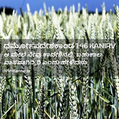 Picture 02 - ಧರ್ಮೋಪದೇಶಕಾಂಡ 1:46 KANIRV - ಆ ಮೇಲೆ ನೀವು - Bible Verse Picture