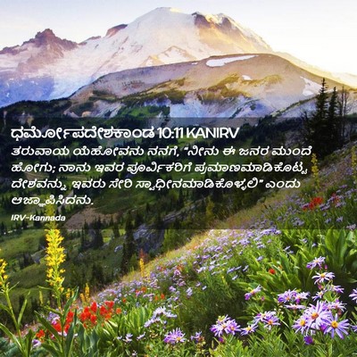 Picture 02 - ಧರ್ಮೋಪದೇಶಕಾಂಡ 10:11 KANIRV - ತರುವಾಯ ಯೆಹೋವನು - Bible Verse Picture