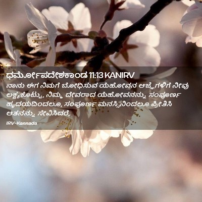 Picture 02 - ಧರ್ಮೋಪದೇಶಕಾಂಡ 11:13 KANIRV - ನಾನು ಈಗ ನಿಮಗೆ - Bible Verse Picture