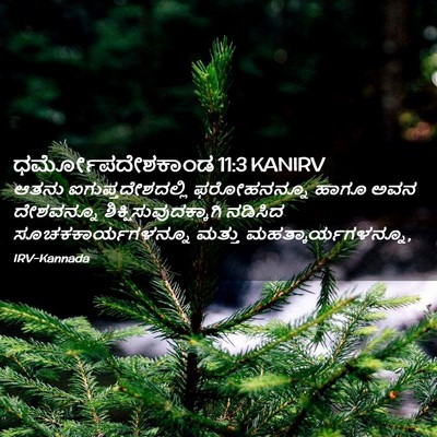 Picture 02 - ಧರ್ಮೋಪದೇಶಕಾಂಡ 11:3 KANIRV - ಆತನು - Bible Verse Picture