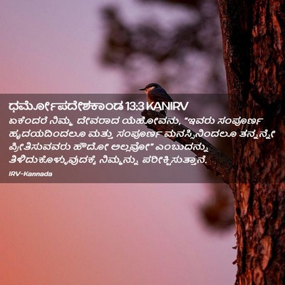 Picture 02 - ಧರ್ಮೋಪದೇಶಕಾಂಡ 13:3 KANIRV - ಏಕೆಂದರೆ ನಿಮ್ಮ - Bible Verse Picture