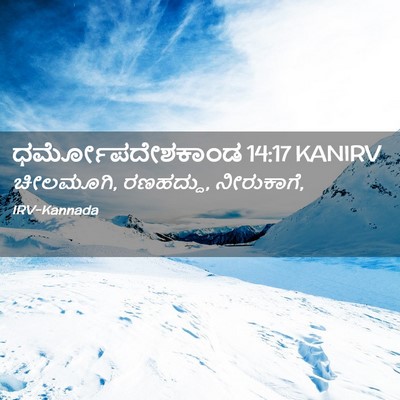 Picture 02 - ಧರ್ಮೋಪದೇಶಕಾಂಡ 14:17 KANIRV - ಚೀಲಮೂಗಿ, ರಣಹದ್ದು, - Bible Verse Picture