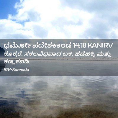 Picture 02 - ಧರ್ಮೋಪದೇಶಕಾಂಡ 14:18 KANIRV - ಕೊಕ್ಕರೆ, - Bible Verse Picture