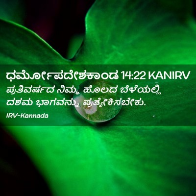 Picture 02 - ಧರ್ಮೋಪದೇಶಕಾಂಡ 14:22 KANIRV - ಪ್ರತಿವರ್ಷದ ನಿಮ್ಮ - Bible Verse Picture