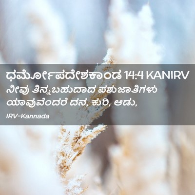 Picture 02 - ಧರ್ಮೋಪದೇಶಕಾಂಡ 14:4 KANIRV - ನೀವು ತಿನ್ನಬಹುದಾದ - Bible Verse Picture