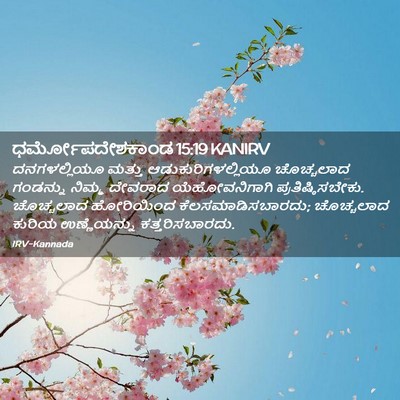 Picture 02 - ಧರ್ಮೋಪದೇಶಕಾಂಡ 15:19 KANIRV - ದನಗಳಲ್ಲಿಯೂ ಮತ್ತು - Bible Verse Picture