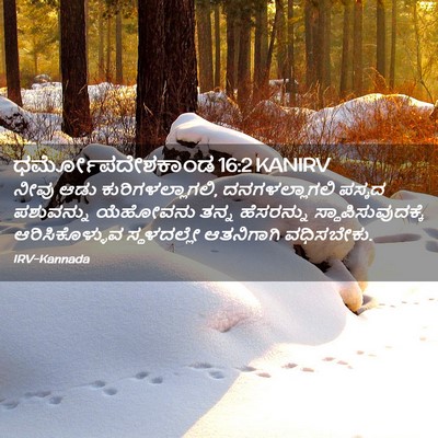 Picture 02 - ಧರ್ಮೋಪದೇಶಕಾಂಡ 16:2 KANIRV - ನೀವು ಆಡು - Bible Verse Picture