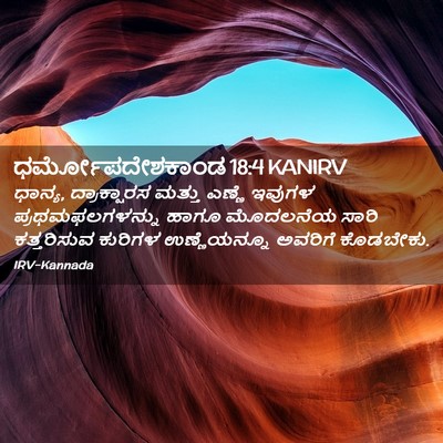 Picture 02 - ಧರ್ಮೋಪದೇಶಕಾಂಡ 18:4 KANIRV - ಧಾನ್ಯ, ದ್ರಾಕ್ಷಾರಸ - Bible Verse Picture