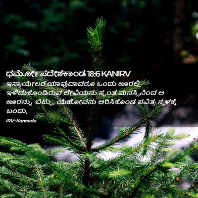 Picture 02 - ಧರ್ಮೋಪದೇಶಕಾಂಡ 18:6 KANIRV - ಇಸ್ರಾಯೇಲರ - Bible Verse Picture