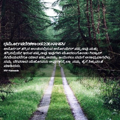 Picture 02 - ಧರ್ಮೋಪದೇಶಕಾಂಡ 2:36 KANIRV - ಅರ್ನೋನ್ ತಗ್ಗಿನ - Bible Verse Picture