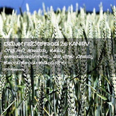 Picture 02 - ಧರ್ಮೋಪದೇಶಕಾಂಡ 2:6 KANIRV - ನೀವು ಅಲ್ಲಿ - Bible Verse Picture
