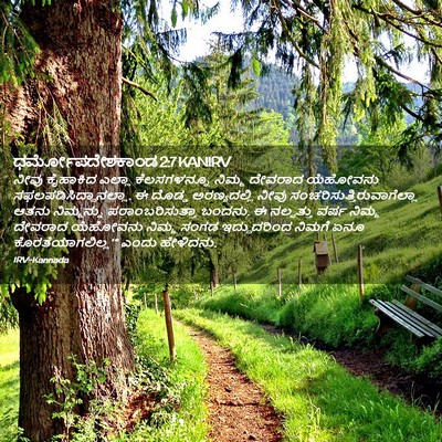Picture 02 - ಧರ್ಮೋಪದೇಶಕಾಂಡ 2:7 KANIRV - ನೀವು ಕೈಹಾಕಿದ - Bible Verse Picture
