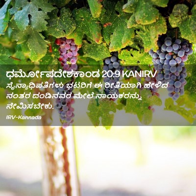 Picture 02 - ಧರ್ಮೋಪದೇಶಕಾಂಡ 20:9 KANIRV - ಸೈನ್ಯಾಧಿಪತಿಗಳು - Bible Verse Picture