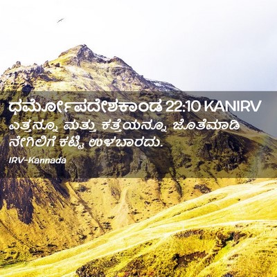 Picture 02 - ಧರ್ಮೋಪದೇಶಕಾಂಡ 22:10 KANIRV - ಎತ್ತನ್ನೂ ಮತ್ತು - Bible Verse Picture