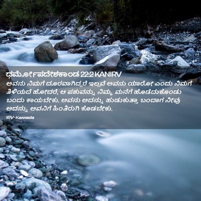 Picture 02 - ಧರ್ಮೋಪದೇಶಕಾಂಡ 22:2 KANIRV - ಅವನು ನಿಮಗೆ - Bible Verse Picture