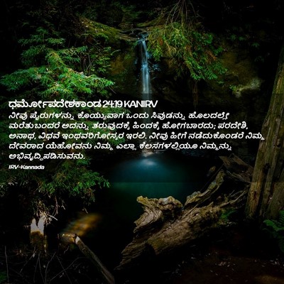 Picture 02 - ಧರ್ಮೋಪದೇಶಕಾಂಡ 24:19 KANIRV - ನೀವು ಪೈರುಗಳನ್ನು - Bible Verse Picture