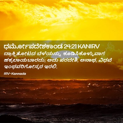 Picture 02 - ಧರ್ಮೋಪದೇಶಕಾಂಡ 24:21 KANIRV - ದ್ರಾಕ್ಷಿತೋಟದ - Bible Verse Picture