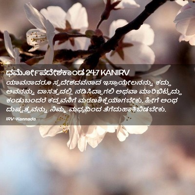 Picture 02 - ಧರ್ಮೋಪದೇಶಕಾಂಡ 24:7 KANIRV - ಯಾವನಾದರೂ - Bible Verse Picture