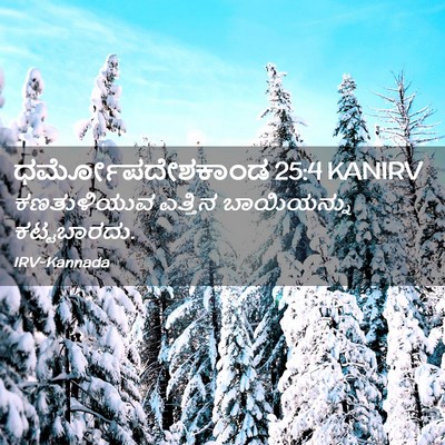 Picture 02 - ಧರ್ಮೋಪದೇಶಕಾಂಡ 25:4 KANIRV - ಕಣತುಳಿಯುವ ಎತ್ತಿನ - Bible Verse Picture