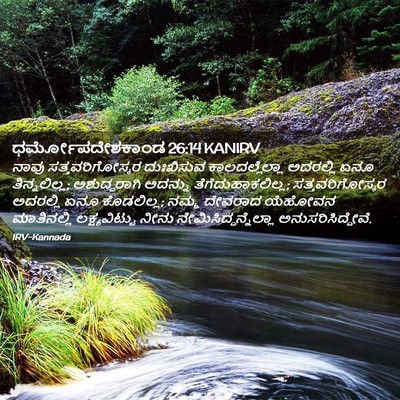 Picture 02 - ಧರ್ಮೋಪದೇಶಕಾಂಡ 26:14 KANIRV - ನಾವು - Bible Verse Picture