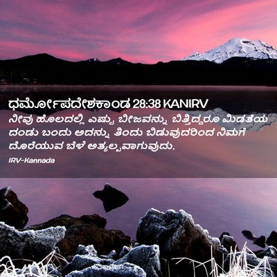 Picture 02 - ಧರ್ಮೋಪದೇಶಕಾಂಡ 28:38 KANIRV - ನೀವು ಹೊಲದಲ್ಲಿ - Bible Verse Picture
