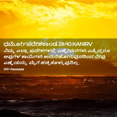 Picture 02 - ಧರ್ಮೋಪದೇಶಕಾಂಡ 28:40 KANIRV - ನಿಮ್ಮ ಎಲ್ಲಾ - Bible Verse Picture