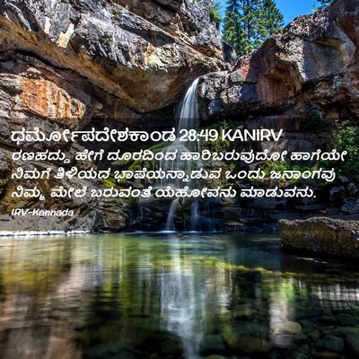Picture 02 - ಧರ್ಮೋಪದೇಶಕಾಂಡ 28:49 KANIRV - ರಣಹದ್ದು ಹೇಗೆ - Bible Verse Picture