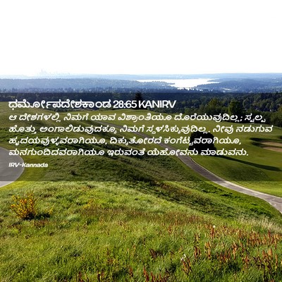 Picture 02 - ಧರ್ಮೋಪದೇಶಕಾಂಡ 28:65 KANIRV - ಆ ದೇಶಗಳಲ್ಲಿ ನಿಮಗೆ - Bible Verse Picture