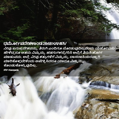 Picture 02 - ಧರ್ಮೋಪದೇಶಕಾಂಡ 28:68 KANIRV - ನೀವು - Bible Verse Picture