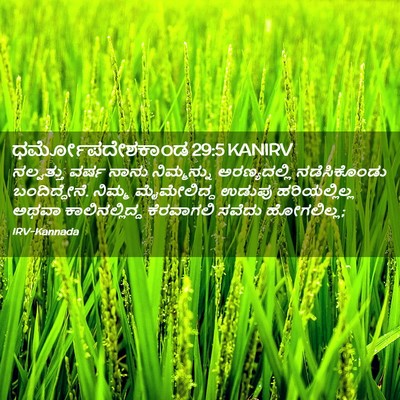 Picture 02 - ಧರ್ಮೋಪದೇಶಕಾಂಡ 29:5 KANIRV - ನಲ್ವತ್ತು ವರ್ಷ - Bible Verse Picture