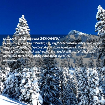 Picture 02 - ಧರ್ಮೋಪದೇಶಕಾಂಡ 3:12 KANIRV - ಆ ಕಾಲದಲ್ಲಿ ನಾವು ಆ - Bible Verse Picture