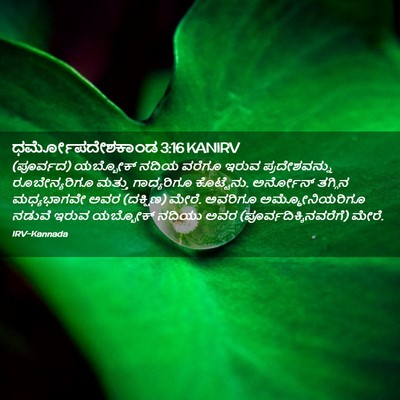 Picture 02 - ಧರ್ಮೋಪದೇಶಕಾಂಡ 3:16 KANIRV - (ಪೂರ್ವದ) ಯಬ್ಬೋಕ್ - Bible Verse Picture