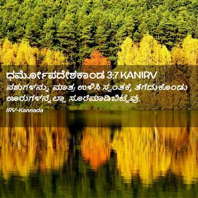 Picture 02 - ಧರ್ಮೋಪದೇಶಕಾಂಡ 3:7 KANIRV - ಪಶುಗಳನ್ನು ಮಾತ್ರ - Bible Verse Picture