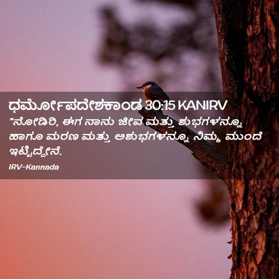 Picture 02 - ಧರ್ಮೋಪದೇಶಕಾಂಡ 30:15 KANIRV - “ನೋಡಿರಿ, ಈಗ ನಾನು - Bible Verse Picture
