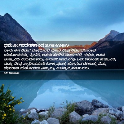 Picture 02 - ಧರ್ಮೋಪದೇಶಕಾಂಡ 30:16 KANIRV - ನಾನು ಈಗ ನಿಮಗೆ - Bible Verse Picture