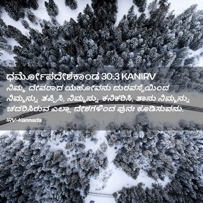 Picture 02 - ಧರ್ಮೋಪದೇಶಕಾಂಡ 30:3 KANIRV - ನಿಮ್ಮ ದೇವರಾದ - Bible Verse Picture