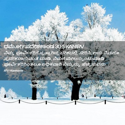 Picture 02 - ಧರ್ಮೋಪದೇಶಕಾಂಡ 30:5 KANIRV - ನಿಮ್ಮ ಪೂರ್ವಿಕರಿಗೆ - Bible Verse Picture