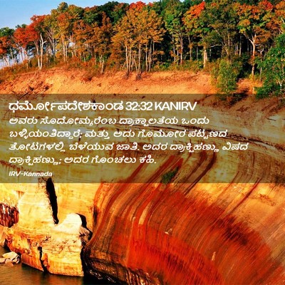 Picture 02 - ಧರ್ಮೋಪದೇಶಕಾಂಡ 32:32 KANIRV - ಅವರು ಸೊದೋಮ್ಯರೆಂಬ - Bible Verse Picture
